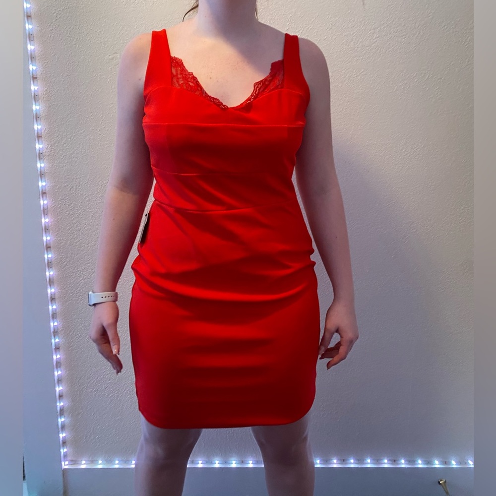 Express lace detailed dress NWT